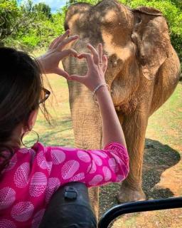 Udawalawe Elephant safari Lodge - 8