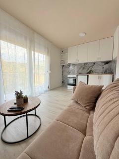 AZA holiday - Kotor - 3