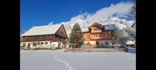 Appartement Goglhof - Ramsau am Dachstein - 0