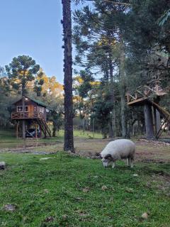 Cabanas Imbuia - Cambará do Sul - 5