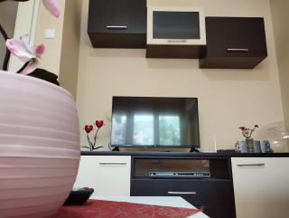 Apartment Biljana - 1