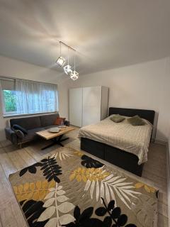 Guesthouse Olteniei - 9