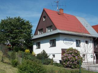 Penzion Babička, pokoj A - Trojanovice - 4