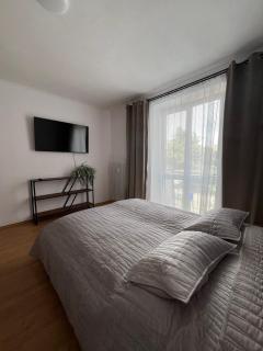 Apartnám Sysel - 5