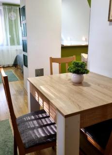 Apartmani Nešović Tara - 9