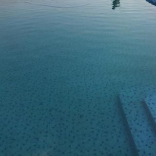 whiteoaklands - 2