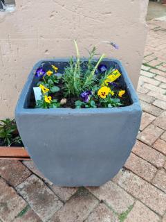 BEE-autiful Stay SC Garden Cottage - Bloemfontein - 8