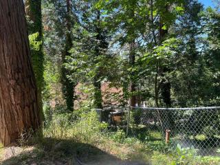 Cozy Cabin - 2