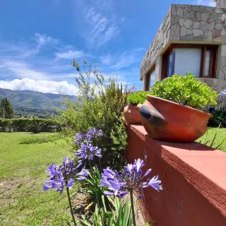 Casa Viva - Tafi del Valle - 6