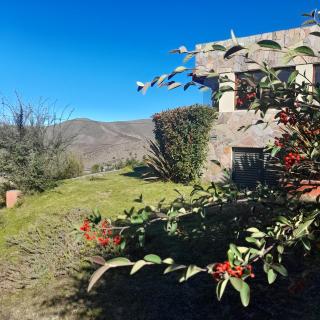 Casa Viva - Tafi del Valle - Tafí del Valle - 1
