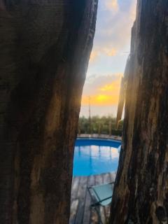 Dimora Acqua del Fico - 1