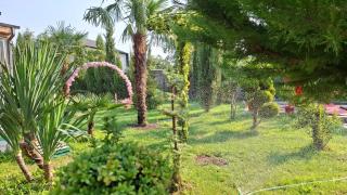 Green Land - Tiflis - 5