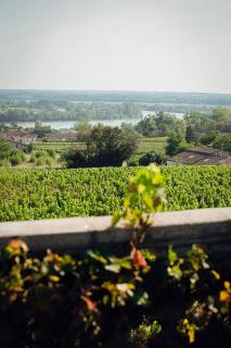 Les Chambres de Magnus - 9