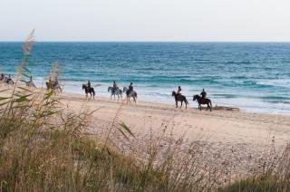 Escape to Paradise - Visit Jbay - 8