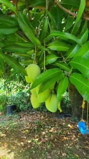 Modern apartment in prestigious neighborhood - 0