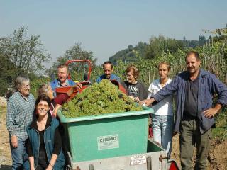 Weingut-Brennerei-Ferienwohnungen Eugen Wissler - 3
