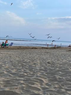 Isla Canela apartamento los Pelícanos ayamonte - 4