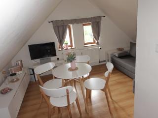 Apartmán U potoka - Horní Maršov - 4