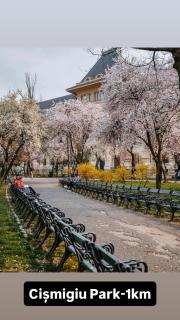 Garsoniera lângă Palatul Parlamentului - Bukarest - 1