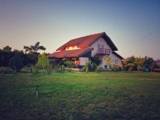 Pensiunea Andra - Jurilovca - 0