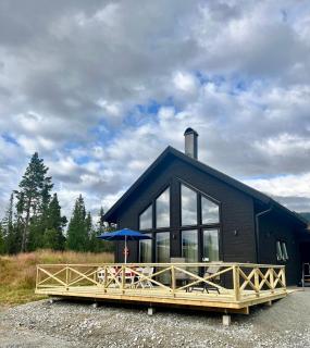 Fjällstugan i Funäsdalen - 5