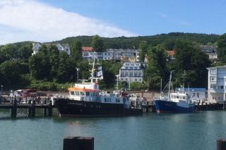 FeWo im Hang direkt am Hafen - Sassnitz - 7