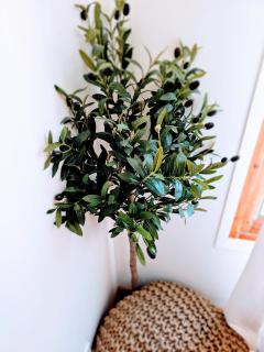 Paradis Côtier 6 couchages - 2