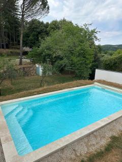 les pins - 0