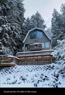 Cabin at Lake Roesiger private waterfront snohomish mt Pilchuck - 3