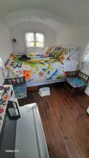 La roulotte au bord de l'étang - 5