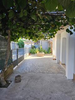 Gjoko - Ohrid - 7