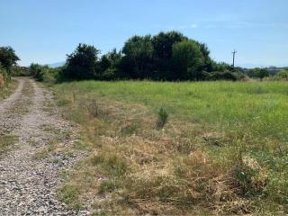 Opened landspace for vehicles and persons to camp - - 0