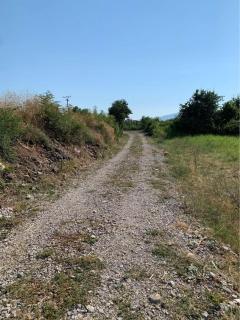 Opened landspace for vehicles and persons to camp - - 3