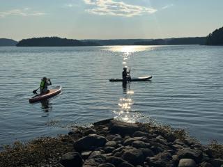 Seaside dream with jetty & guest cottage - Ljungskile - 1