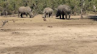 Mathali Travel and Tours - Livingstone - 5
