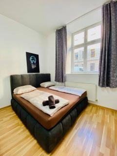 Family Apartment near Schönbrunn Palace HL3 - 1