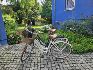 BluGarden Ferienapartments im Spreewald - Lübben - 4