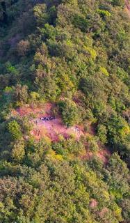 Bee Fresh Camping y Mirador - Santa Cruz La Laguna - 7