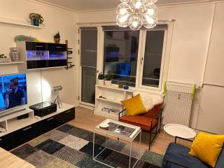 Luxury Scandanavian Style flat near city - 4