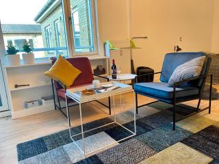 Luxury Scandanavian Style flat near city - 2