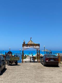 الإسكندرية - 9