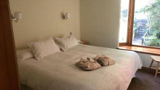 Hotel y Termas Huife - 2