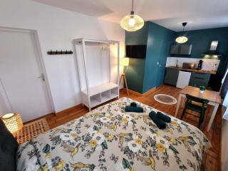 N4 - Studio Cosy à deux pas du cœur de Valenciennes - 1