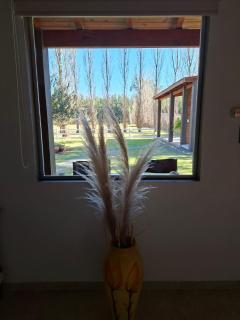 Las Casuarinas - 3