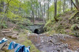 Creek Dips and Smores Catskills Gem - - 7