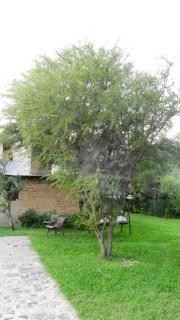 Alojamiento del Parque - 1
