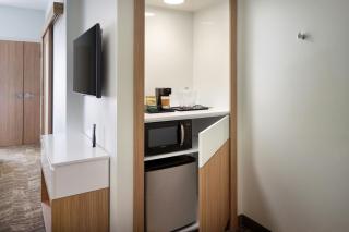 SpringHill Suites by Marriott Ellijay - 2