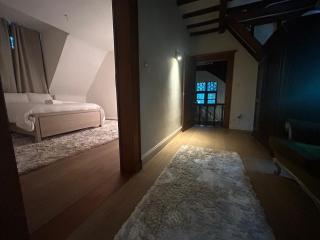 Luxury Villa Schaffen with a private gym - 5