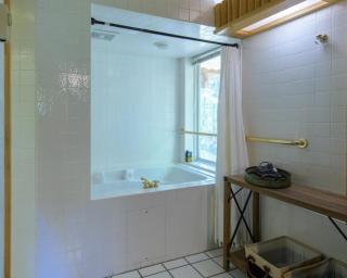 Fishing Escape in the Woods - Eureka - 4