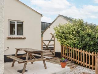 Aunty Junes Cottage - Okehampton - 8